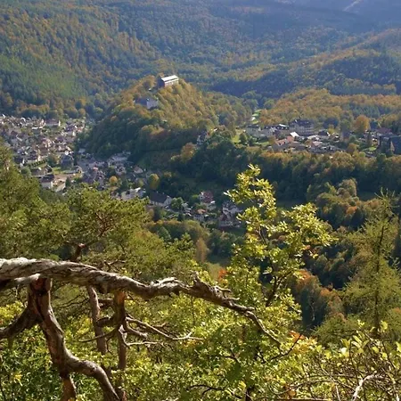 View - Formerly Tui Neidenberga