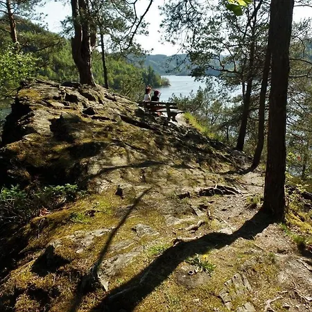 View - Formerly Tui *